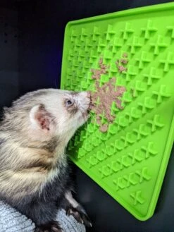 Genia Vetopop Lick Pad -KONG Shop UnusualPetVetsPeninsula3