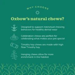 Oxbow Timothy Club Carrot -KONG Shop Why Choose Oxbow Natural Chews Jan 2022 e1659988952310