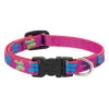 LupinePet Wing It Original Wing It Designs Dog Collar 1.3cm
