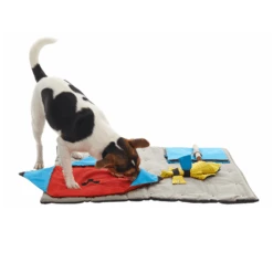 Buster ActivityMat, Starter Set W/3 Activities -KONG Shop actmatset3