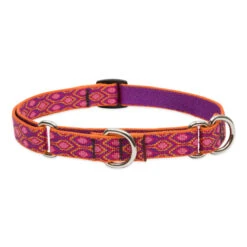 LupinePet Alpen Glow Dog Original Designs Martingale Collar For Training