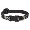 LupinePet Bling Bonz Original Designs Dog Collar -KONG Shop blingbonz1