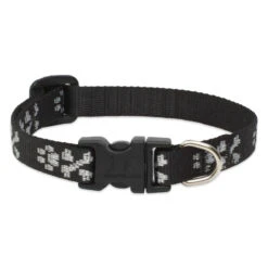 LupinePet Bling Bonz Original Designs Dog Collar