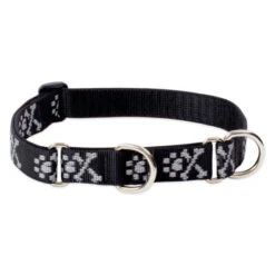 LupinePet Bling Bonz Dog Original Designs Martingale Collar For Training