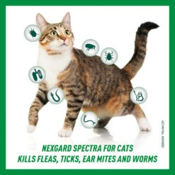 NexGard Spectra Spot-On For Cats (2.5 - 7.5 Kg) -KONG Shop cat parasites 07462 6e8149c2 d422 4acc b4c4 3c2230964a58