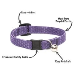 LupinePet Eco Safety Cat Collar 1.3cm -KONG Shop catcollarfeatures1