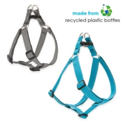 LupinePet Berry Eco Step In Dog Harness -KONG Shop ecodog3 6e2c050b 2b2e 41f9 9921 1798a5446485