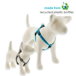 LupinePet Berry Eco Step In Dog Harness -KONG Shop ecodog5 f17906cb 086b 427e b191 7b271013775b