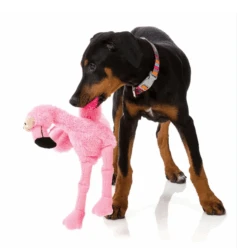 FuzzYard Flo The Flamingo Dog Toy -KONG Shop flamingo3