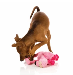 FuzzYard Flo The Flamingo Dog Toy -KONG Shop flamingo6