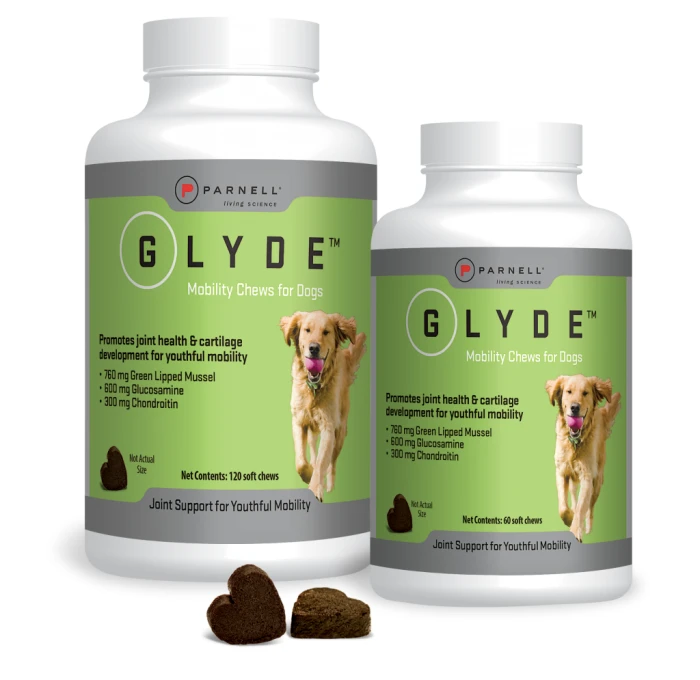 Glyde Mobility Chews For Dogs 5 Glyde Mobility Chews For Dogs - Image 3