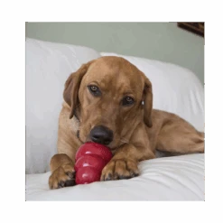 KONG Stuff'N Liver Snacks -KONG Shop kongtreatsliver