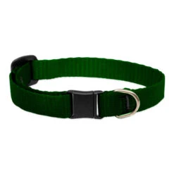 LupinePet Basic Solids Safety Cat Collar 1.3cm -KONG Shop lupinecatgreen