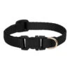 LupinePet Basic Solids Black Adjustable Dog Collar -KONG Shop lupinesolidblack