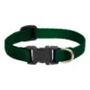LupinePet Basic Solids Green Adjustable Dog Collar -KONG Shop lupinesolidgreen