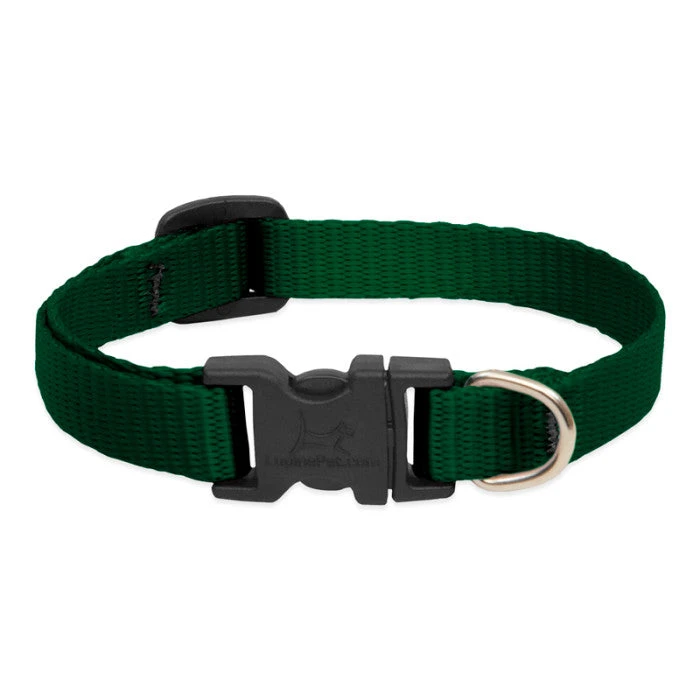 LupinePet Basic Solids Green Adjustable Dog Collar 3 LupinePet Basic Solids Green Adjustable Dog Collar