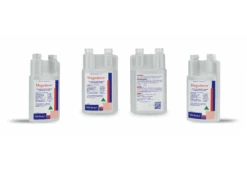 Virbac Megaderm Liquid -KONG Shop megaderm group