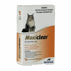 Moxiclear For Cats Over 4kg -KONG Shop moxiclearorange1