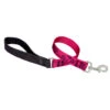 LupinePet Plum Blossom Original Designs Dog Leash 2.5cm