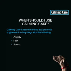 Purina Pro Plan Veterinary Calming Care Probiotic For Dogs 1g Sachets -KONG Shop ppvd canine banner 630x490 calmingcare 3