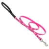 LupinePet Puppy Love Original Designs Dog Leash -KONG Shop puppyloveleash