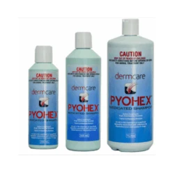 Pyohex Medicated Foam -KONG Shop pyohexshampooset
