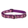 LupinePet Rose Garden Dog Original Designs Martingale Collar For Training