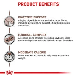 Royal Canin Veterinary Gastrointestinal Hairball Dry Cat Food -KONG Shop royalcaningastrocat3