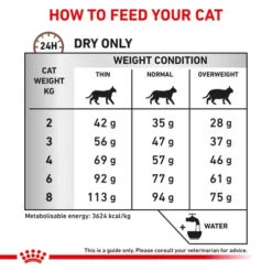 Royal Canin Veterinary Gastrointestinal Hairball Dry Cat Food -KONG Shop royalcaningastrocat5