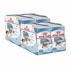 Royal Canin Mini Puppy Wet Food 85g Pouches -KONG Shop royalcaninpuppy85gwet