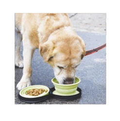 Vetopop Collapsible Travel Dog Bowl -KONG Shop travelbowl4