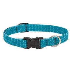 LupinePet Tropical Sea Eco Dog Collar