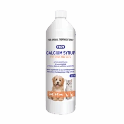 Troy Calcium Syrup