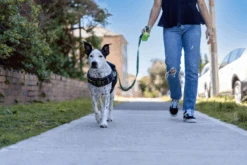 Vetopop Poop Leash Bag Dispenser -KONG Shop vetopoppoopleashbag 1